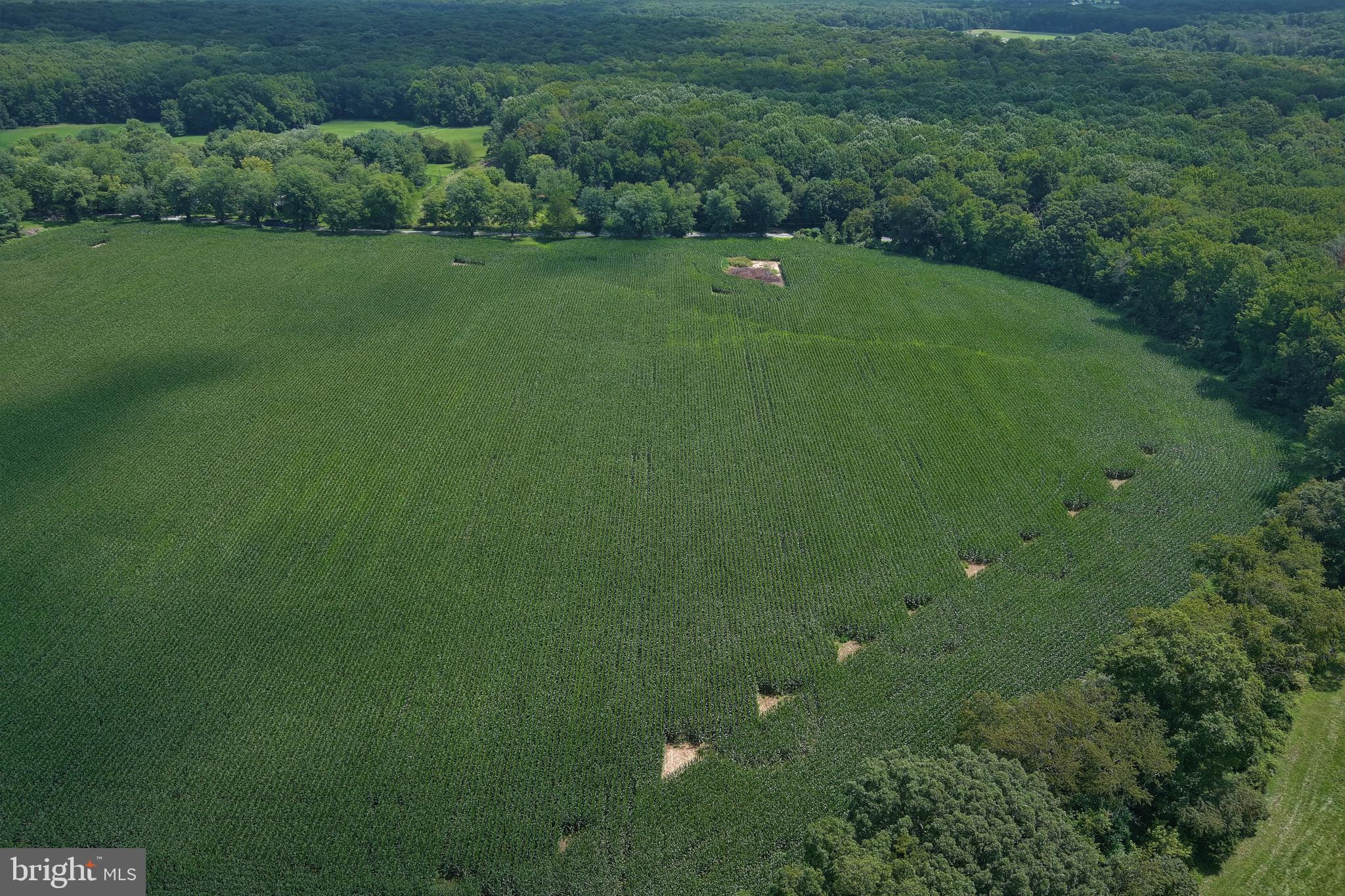 40 Hackett Road Woodstown, NJ 08098 - Photo 5 of 33