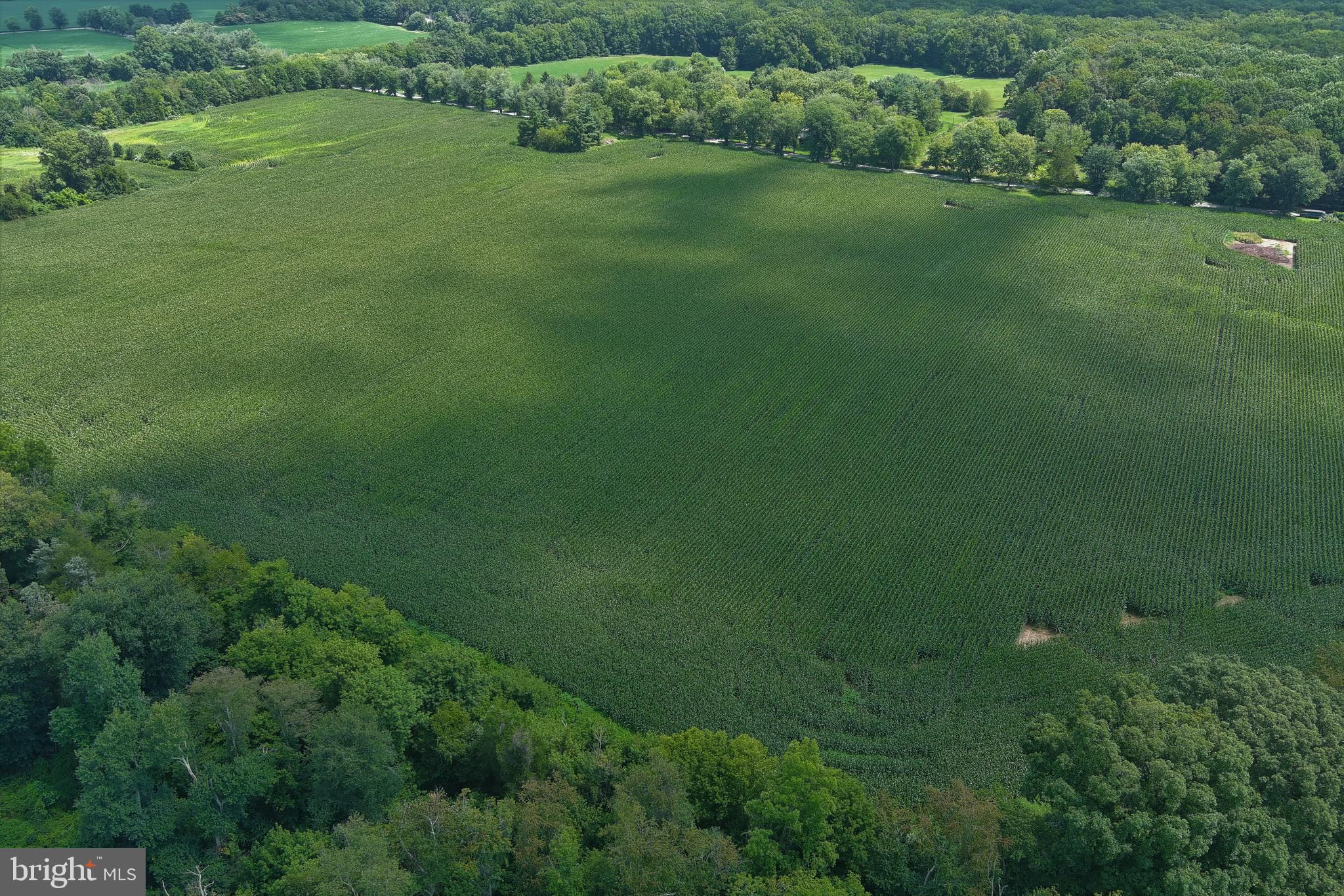 40 Hackett Road Woodstown, NJ 08098 - Photo 6 of 33