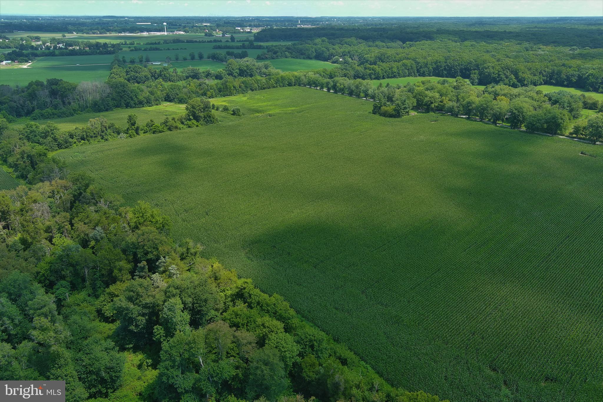 40 Hackett Road Woodstown, NJ 08098 - Photo 7 of 33