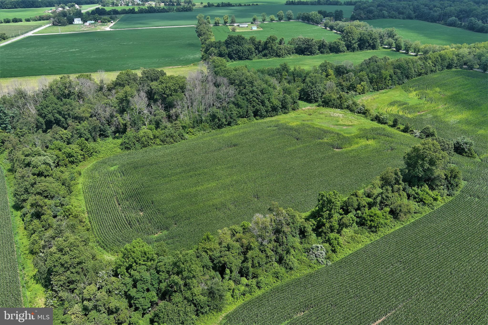 40 Hackett Road Woodstown, NJ 08098 - Photo 9 of 33