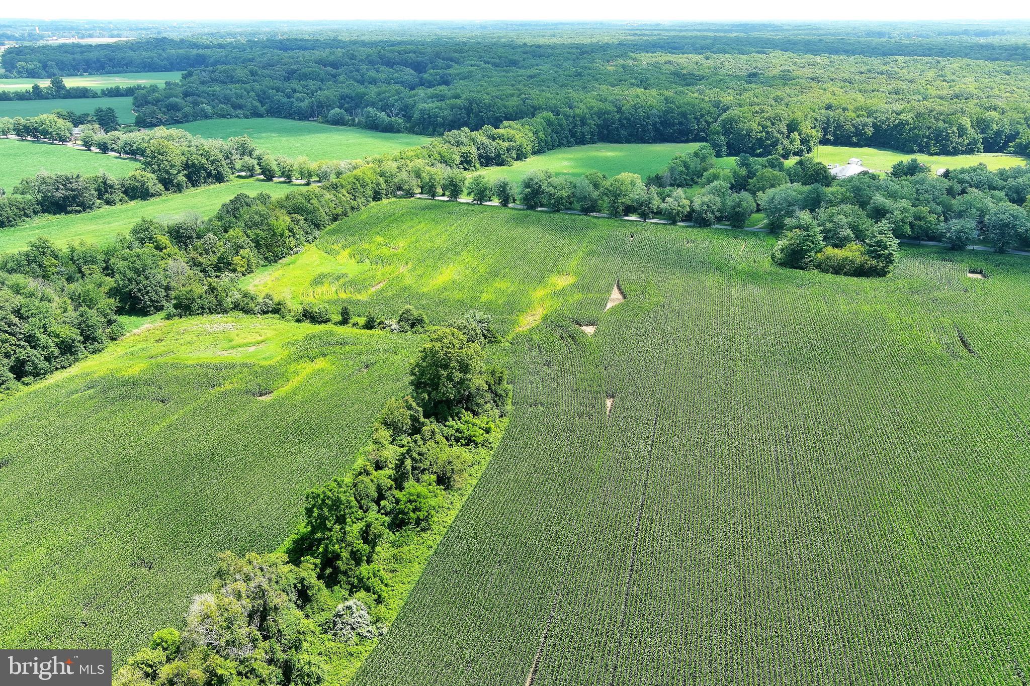 40 Hackett Road Woodstown, NJ 08098 - Photo 10 of 33