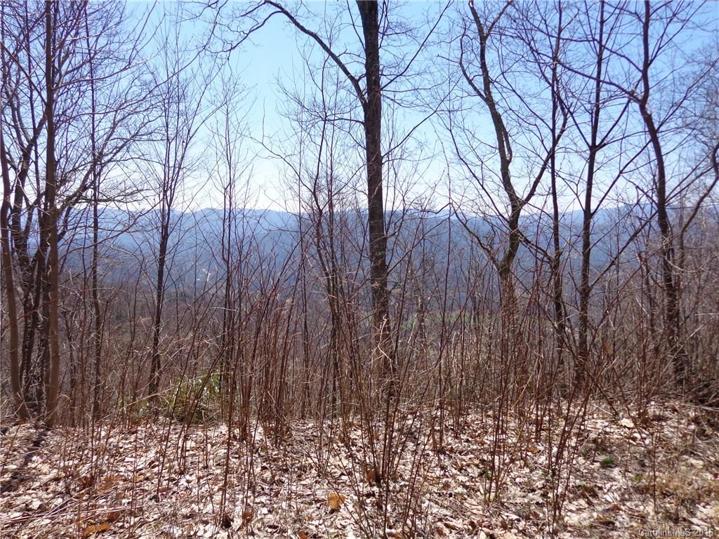 Lot B Lot B Justin Ridge, Unit B Clyde, NC 28721 - Photo 1 of 3