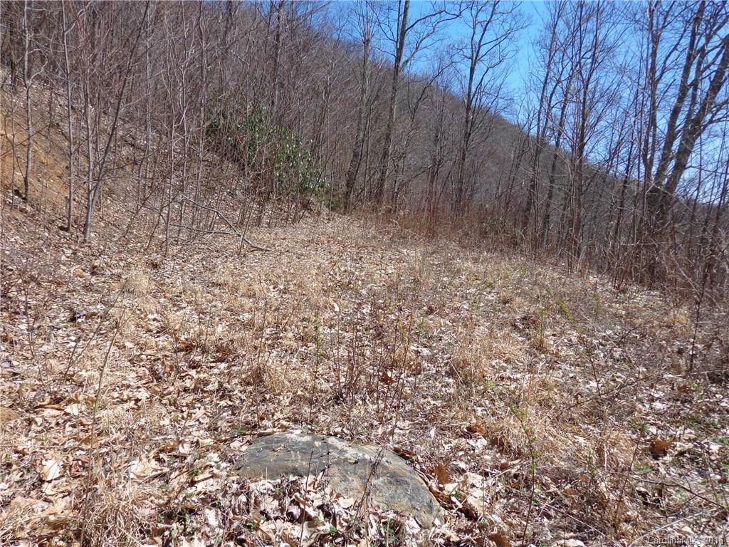 Lot B Lot B Justin Ridge, Unit B Clyde, NC 28721 - Photo 3 of 3