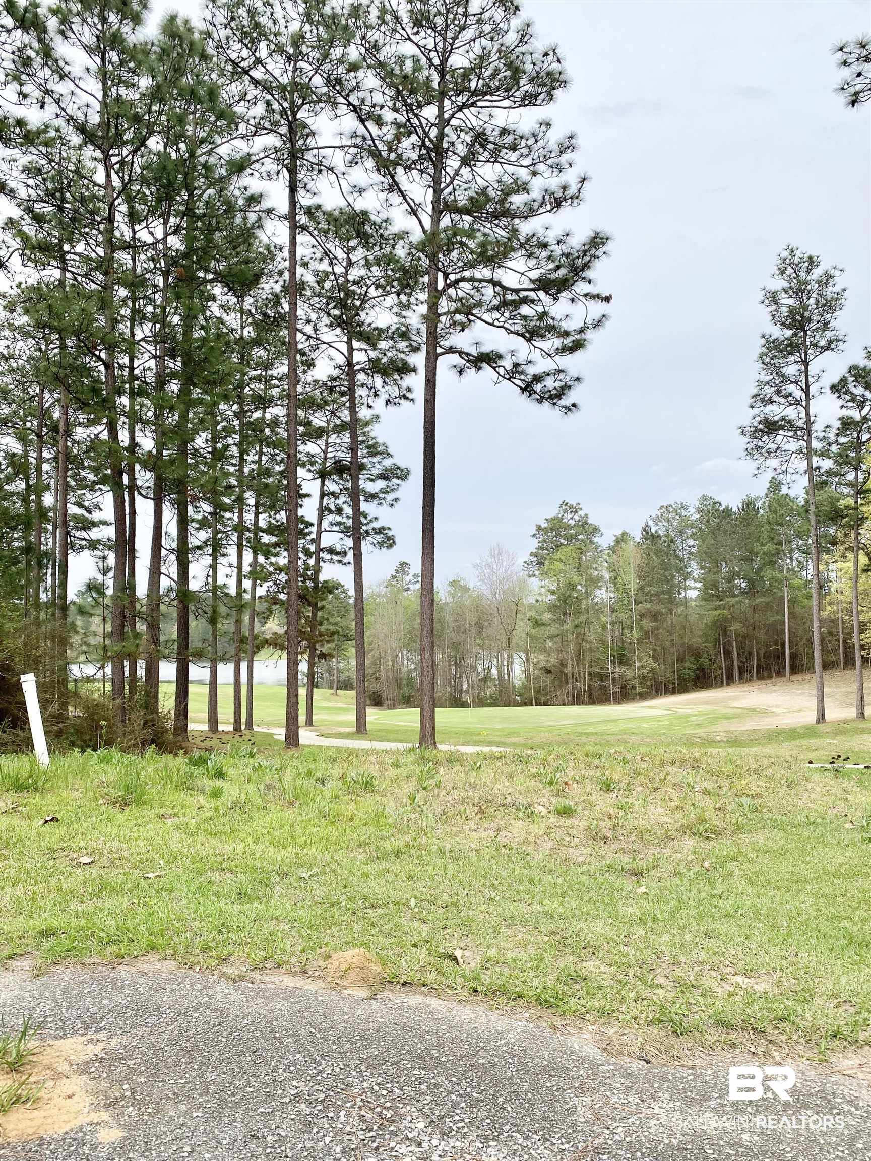 50 Juniper Creek Road Brewton, AL 36426 - Photo 4 of 5 Golf Course