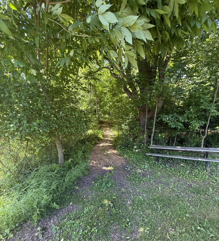 3628 Rau Road West Branch, MI 48661 - Photo 84 of 113 Trail