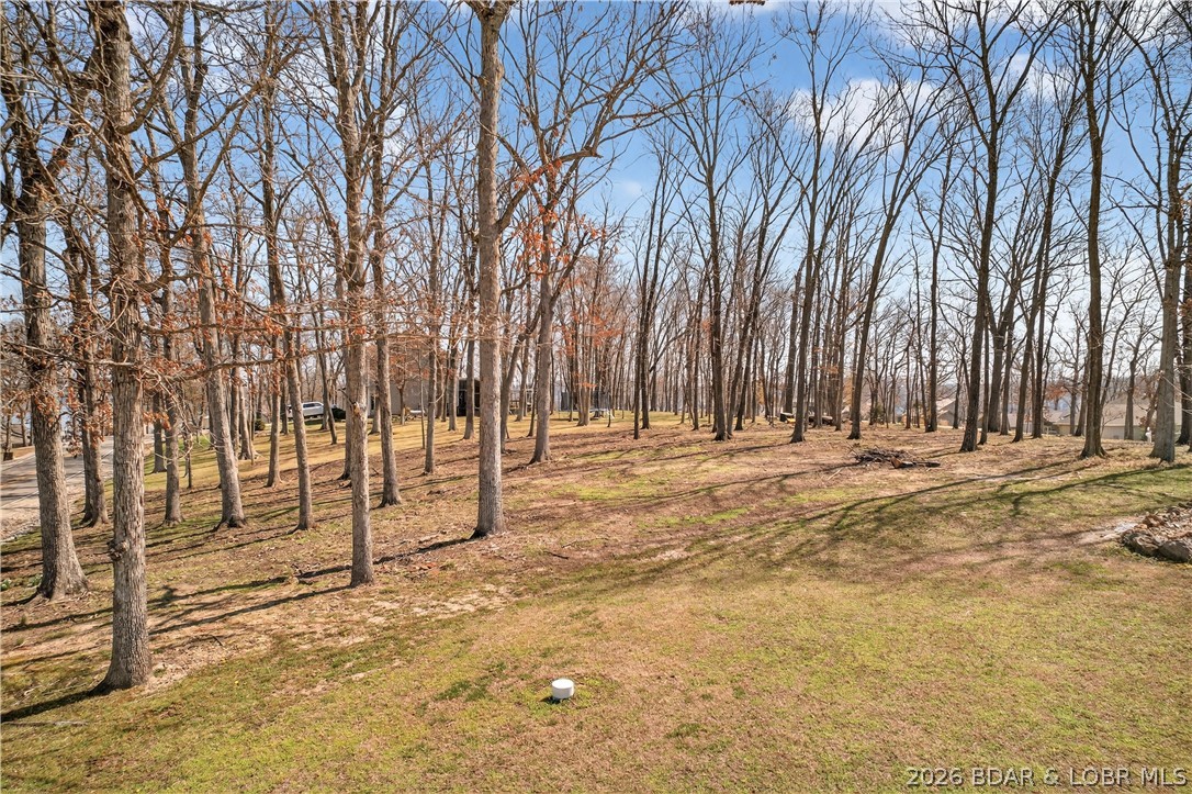 890 Anemone Road Lake Ozark, MO 65049 - Photo 47 of 63