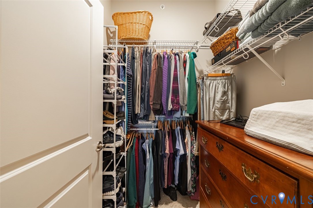 10521 Stony Bluff Drive, Unit 402 Ashland, VA 23005 - Photo 22 of 45 Walk in closet with light carpet