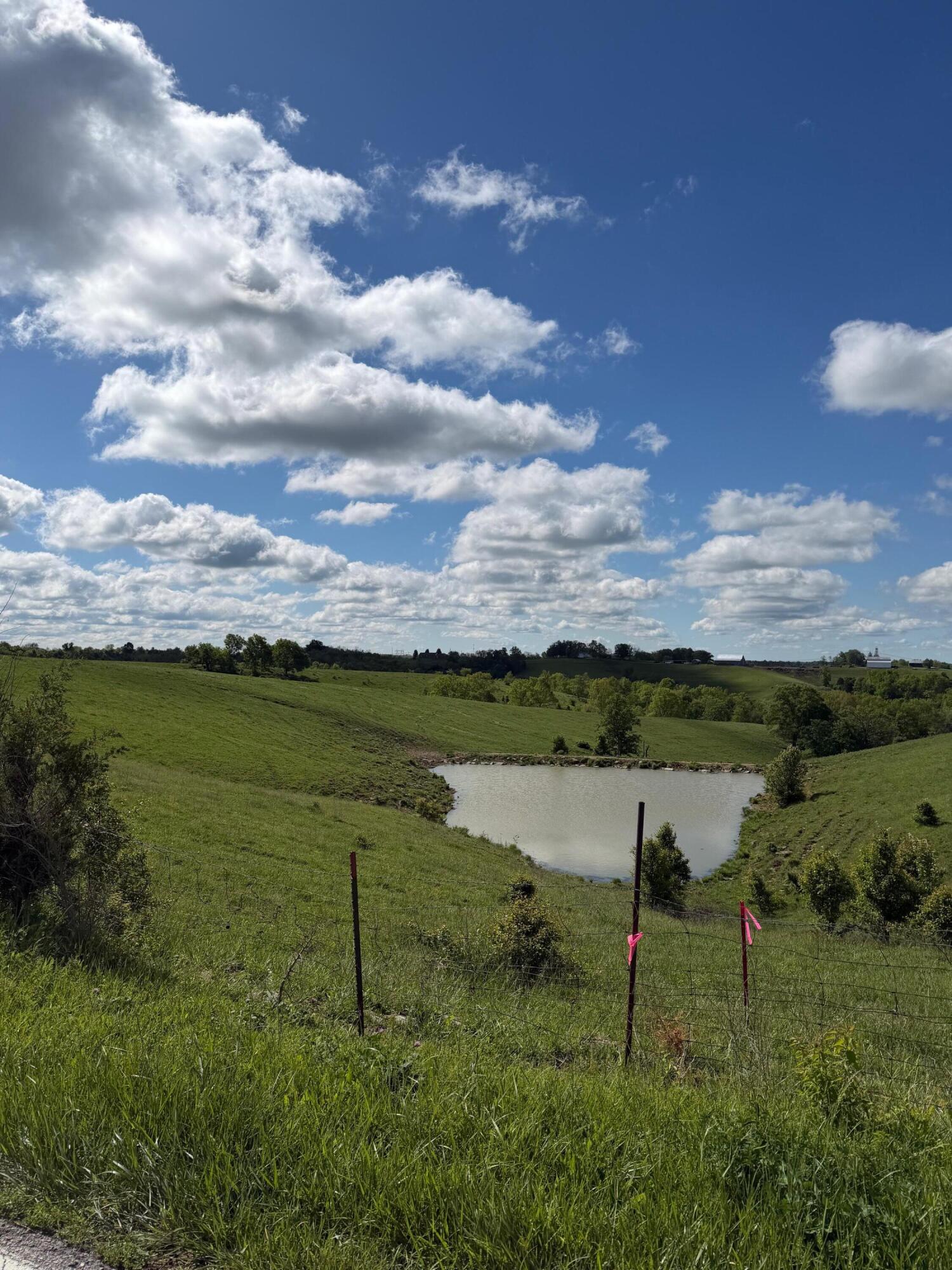20.99-ac Chipman Ridge Road Williamstown, KY 41097 - Photo 4 of 21