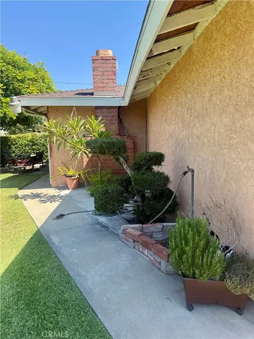 a potted plant sitting in front of a building