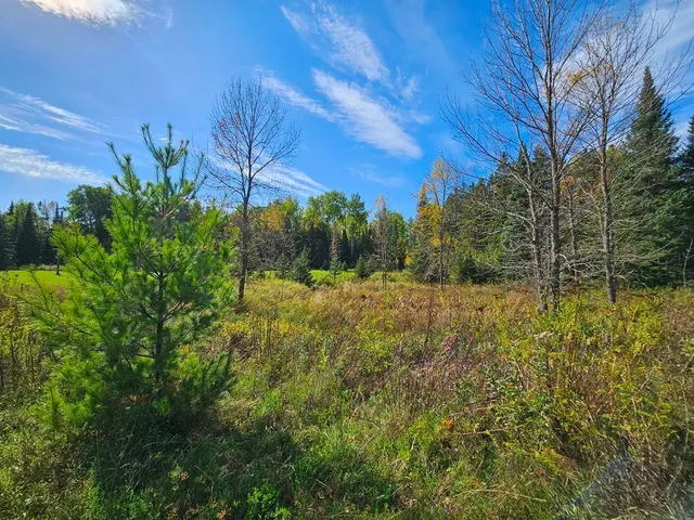 $145,000 | 1 County Road, Deer River, MN 56636