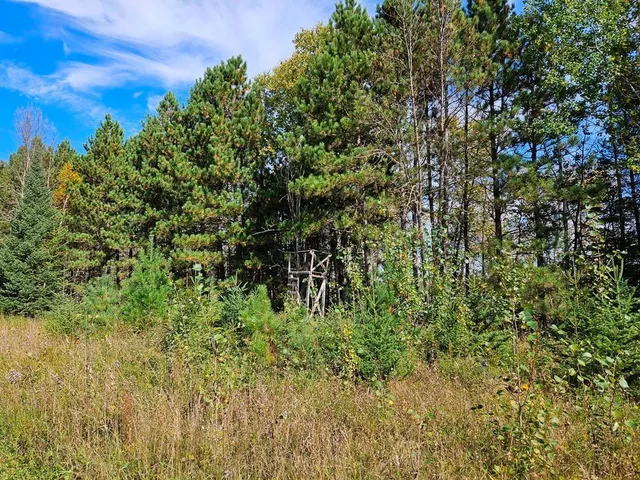 $145,000 | 1 County Road, Deer River, MN 56636