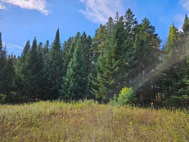 $145,000 | 1 County Road, Deer River, MN 56636