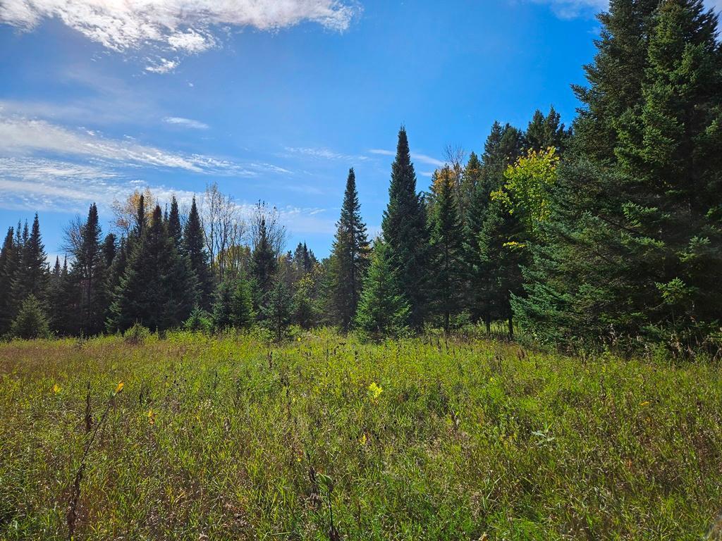 1 County Road Deer River, MN 56636 - Photo 3 of 18