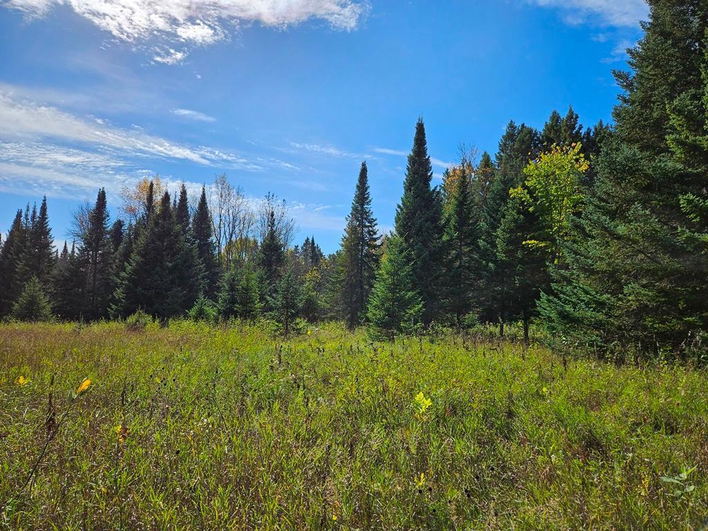 1 County Road Deer River, MN 56636 - Photo 5 of 18