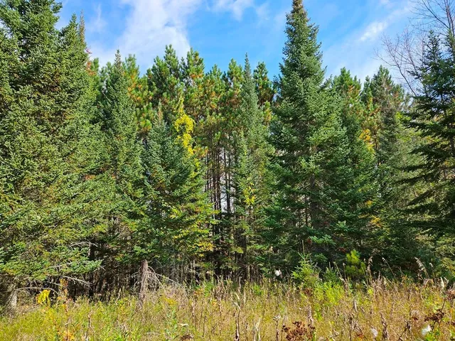 $145,000 | 1 County Road, Deer River, MN 56636