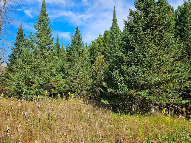 $145,000 | 1 County Road, Deer River, MN 56636