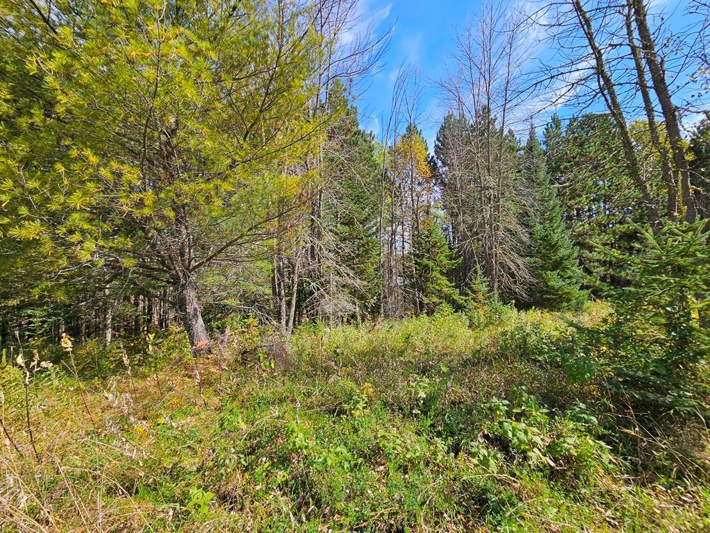 1 County Road Deer River, MN 56636 - Photo 8 of 18