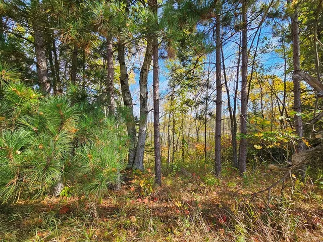 $145,000 | 1 County Road, Deer River, MN 56636