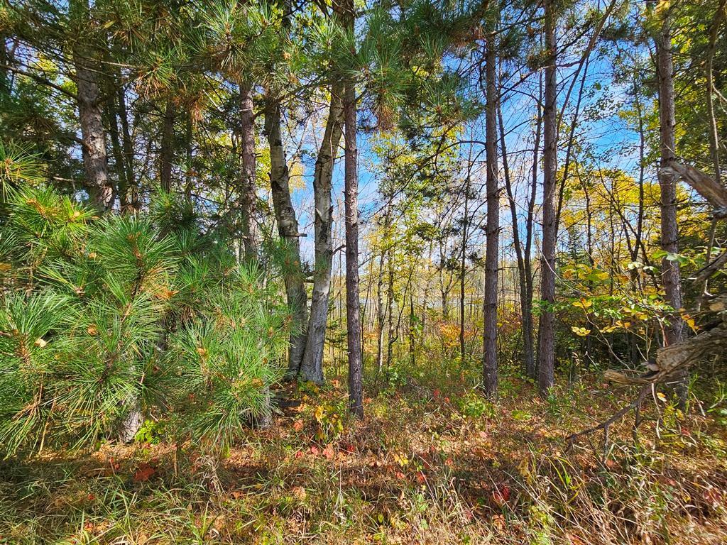 1 County Road Deer River, MN 56636 - Photo 9 of 18