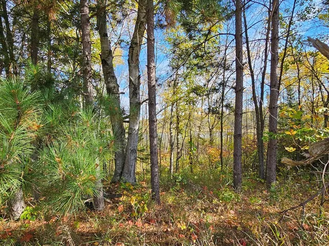 $145,000 | 1 County Road, Deer River, MN 56636