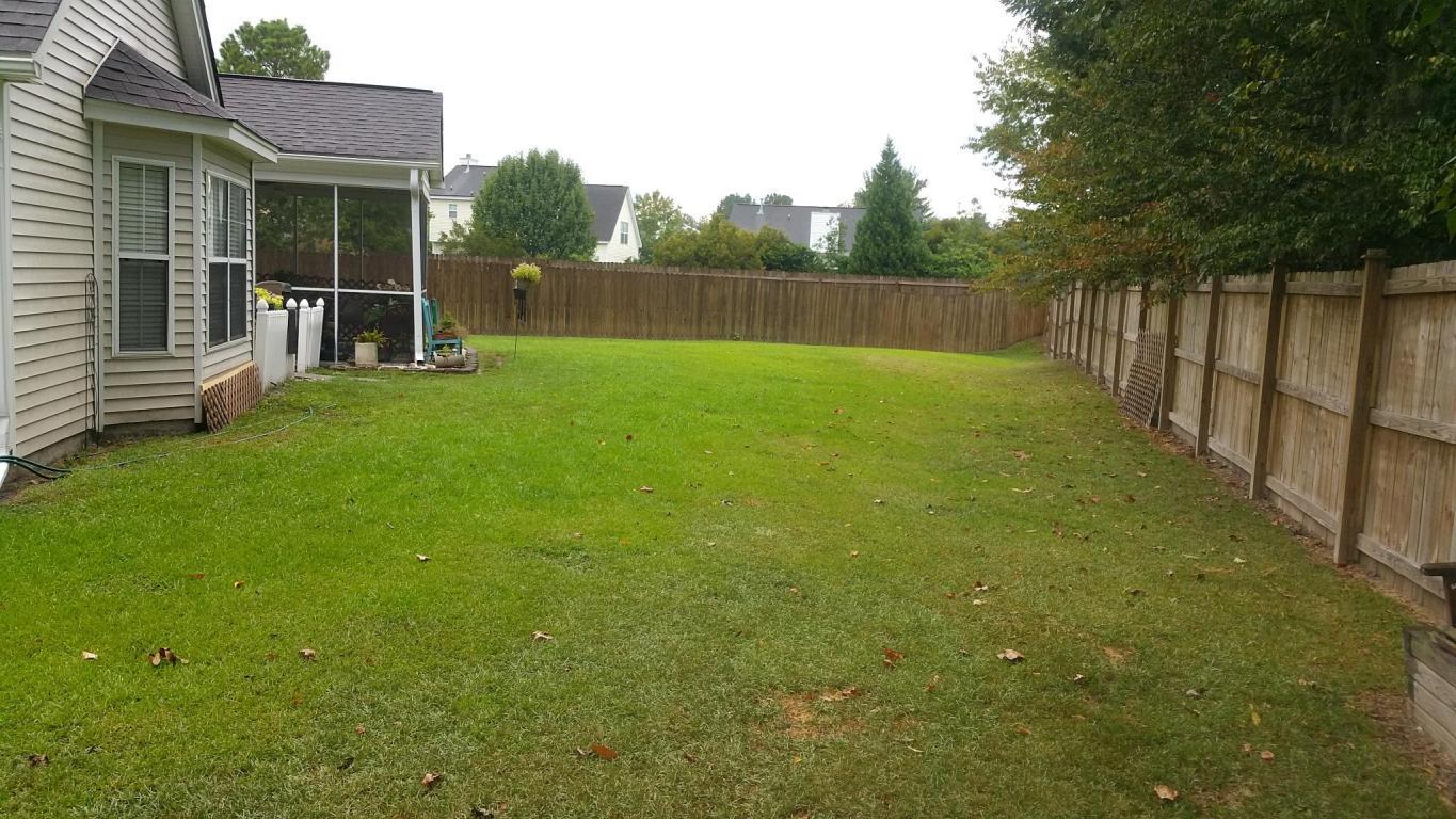447 Maple Oak Lane Charleston, SC 29414 - Photo 13 of 15 447 Maple Oak Lane back yard
