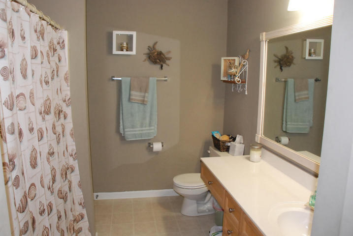 447 Maple Oak Lane Charleston, SC 29414 - Photo 7 of 15 447 Maple Oak Ln master bath 2