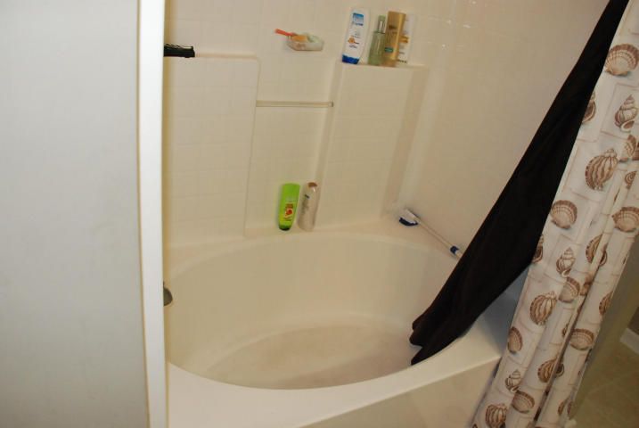 447 Maple Oak Lane Charleston, SC 29414 - Photo 8 of 15 447 Maple Oak Ln garden tub