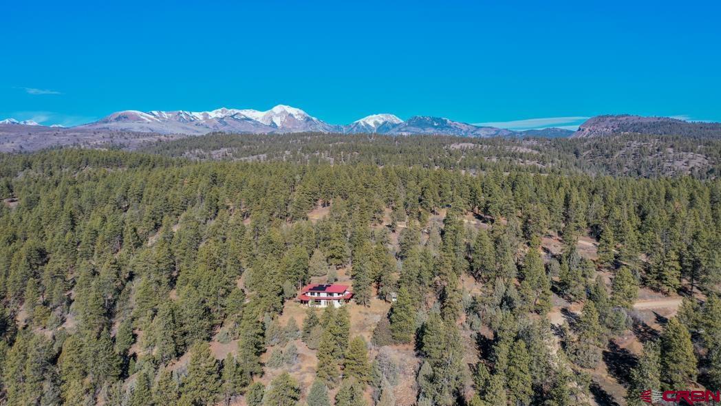 351 Cherry Gulch Road Durango, CO 81301 - Photo 3 of 42