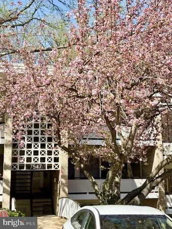 $2,100 | 7547 Spring Lake Drive, Unit 7547B, Bethesda, MD 20817