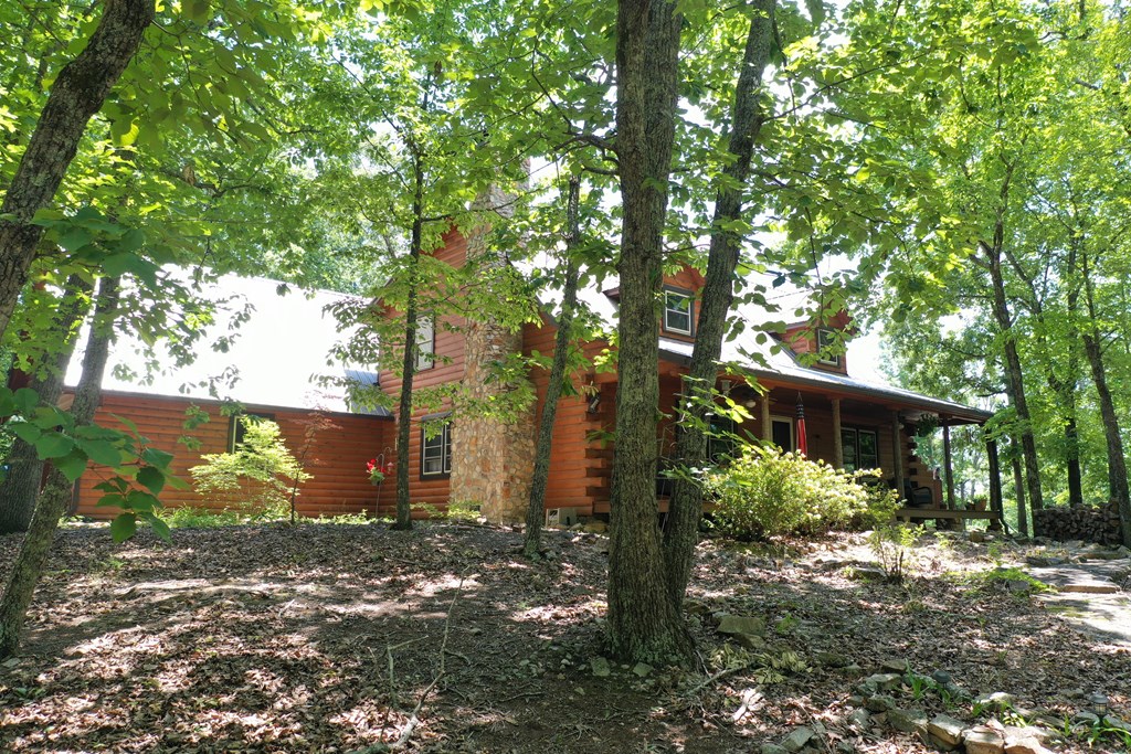 1245 Moon Road Shiloh, GA 31826 - Photo 54 of 70 Gallery Image 54