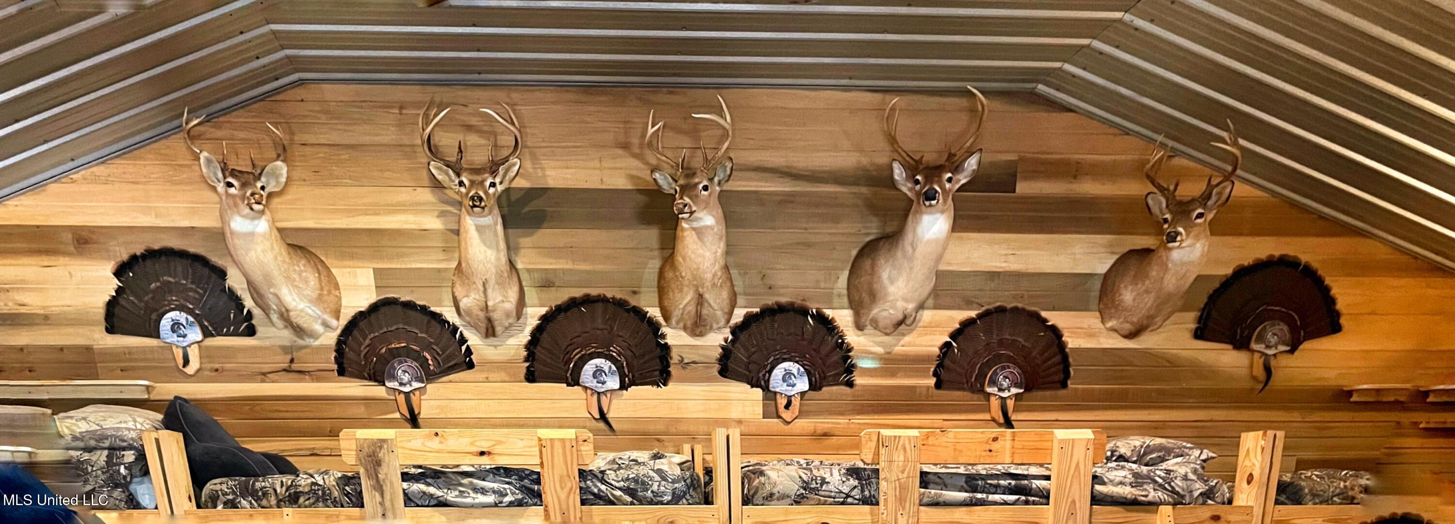 24 Co Road Enterprise, MS 39330 - Photo 16 of 89 IMG_6566