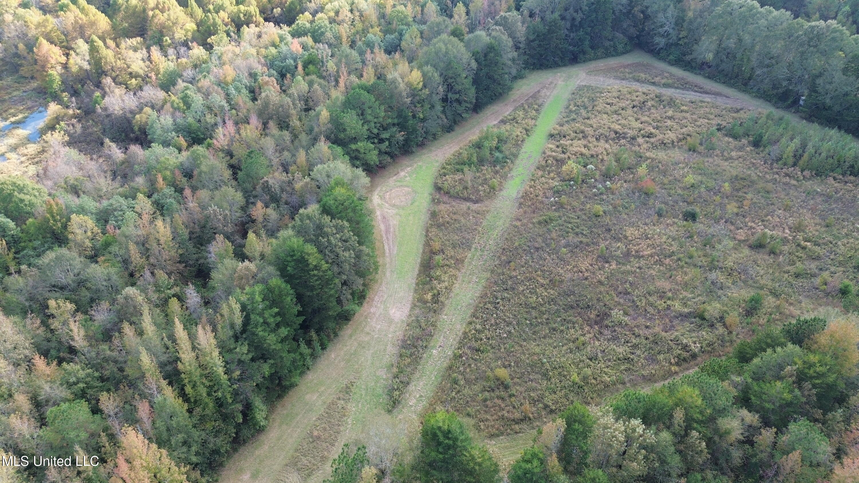 24 Co Road Enterprise, MS 39330 - Photo 24 of 89 dji_fly_20251101_161140_13_1762031601159