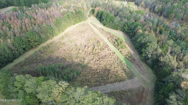 $595,000 | 24 Co Road, Enterprise, MS 39330