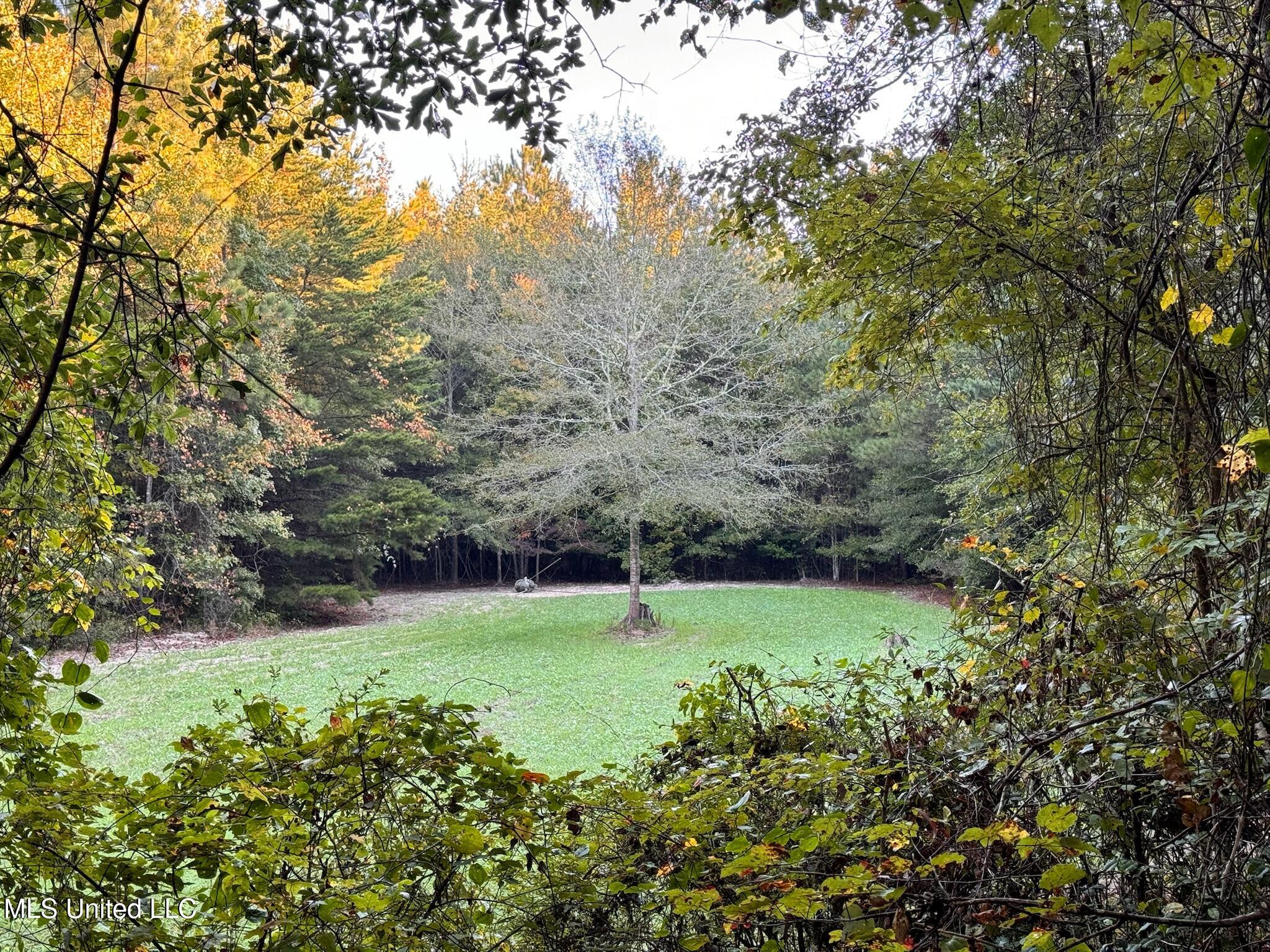 24 Co Road Enterprise, MS 39330 - Photo 27 of 89 IMG_6072