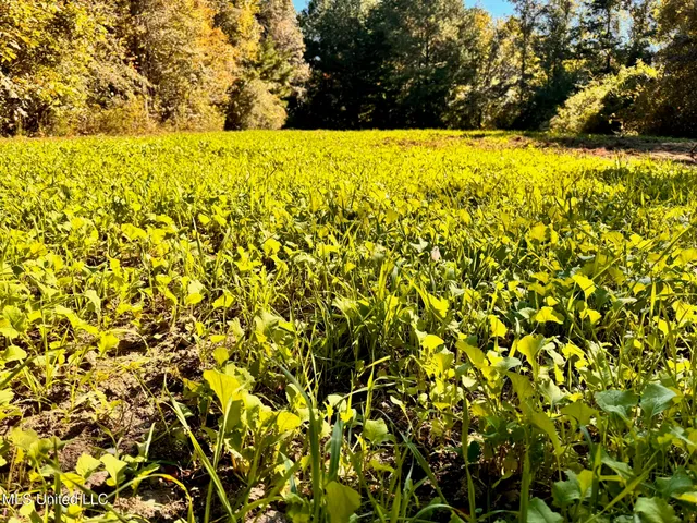 $595,000 | 24 Co Road, Enterprise, MS 39330