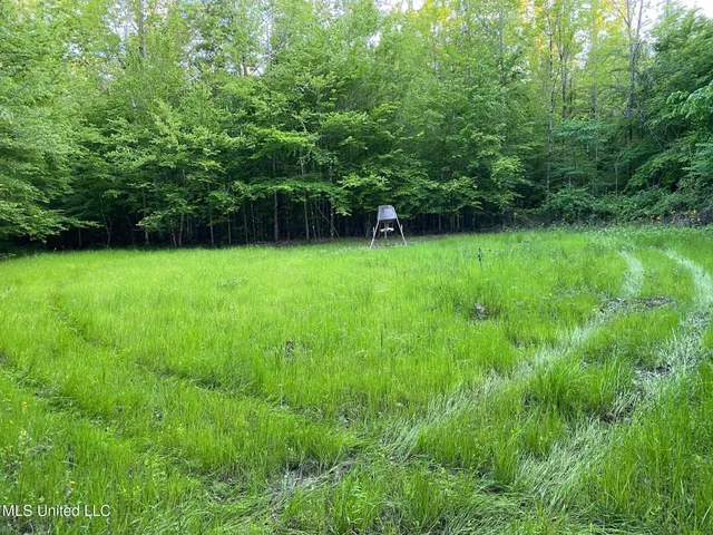 $595,000 | 24 Co Road, Enterprise, MS 39330