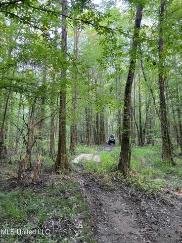 $595,000 | 24 Co Road, Enterprise, MS 39330