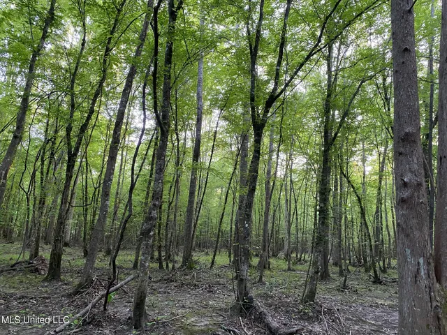 $595,000 | 24 Co Road, Enterprise, MS 39330