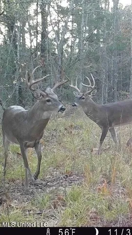 $595,000 | 24 Co Road, Enterprise, MS 39330