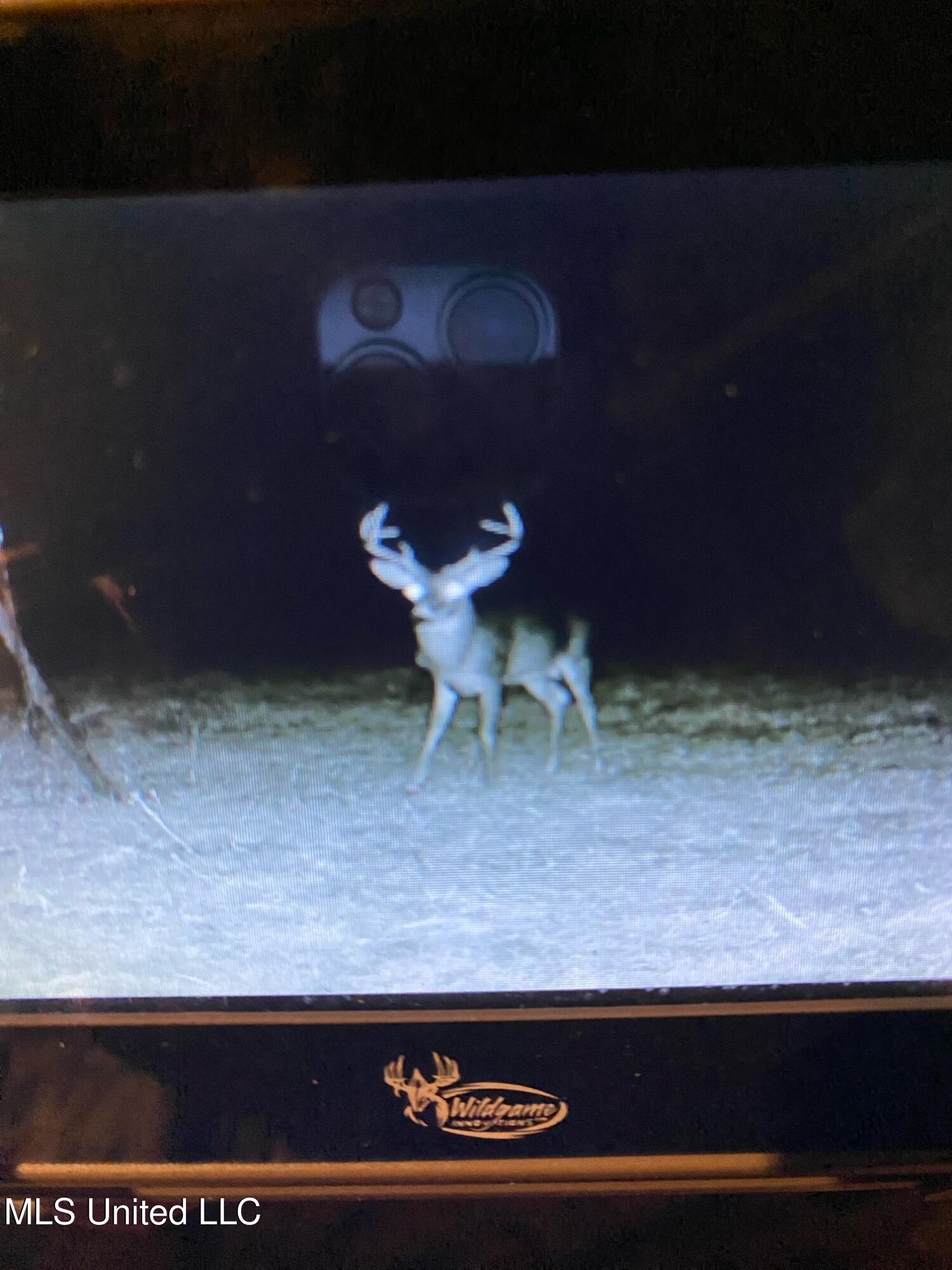 24 Co Road Enterprise, MS 39330 - Photo 34 of 89 IMG_5595