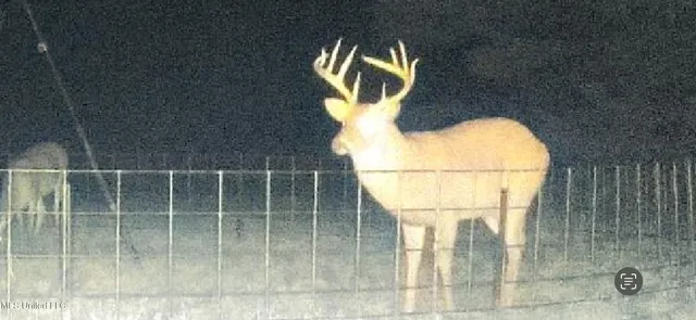 $595,000 | 24 Co Road, Enterprise, MS 39330