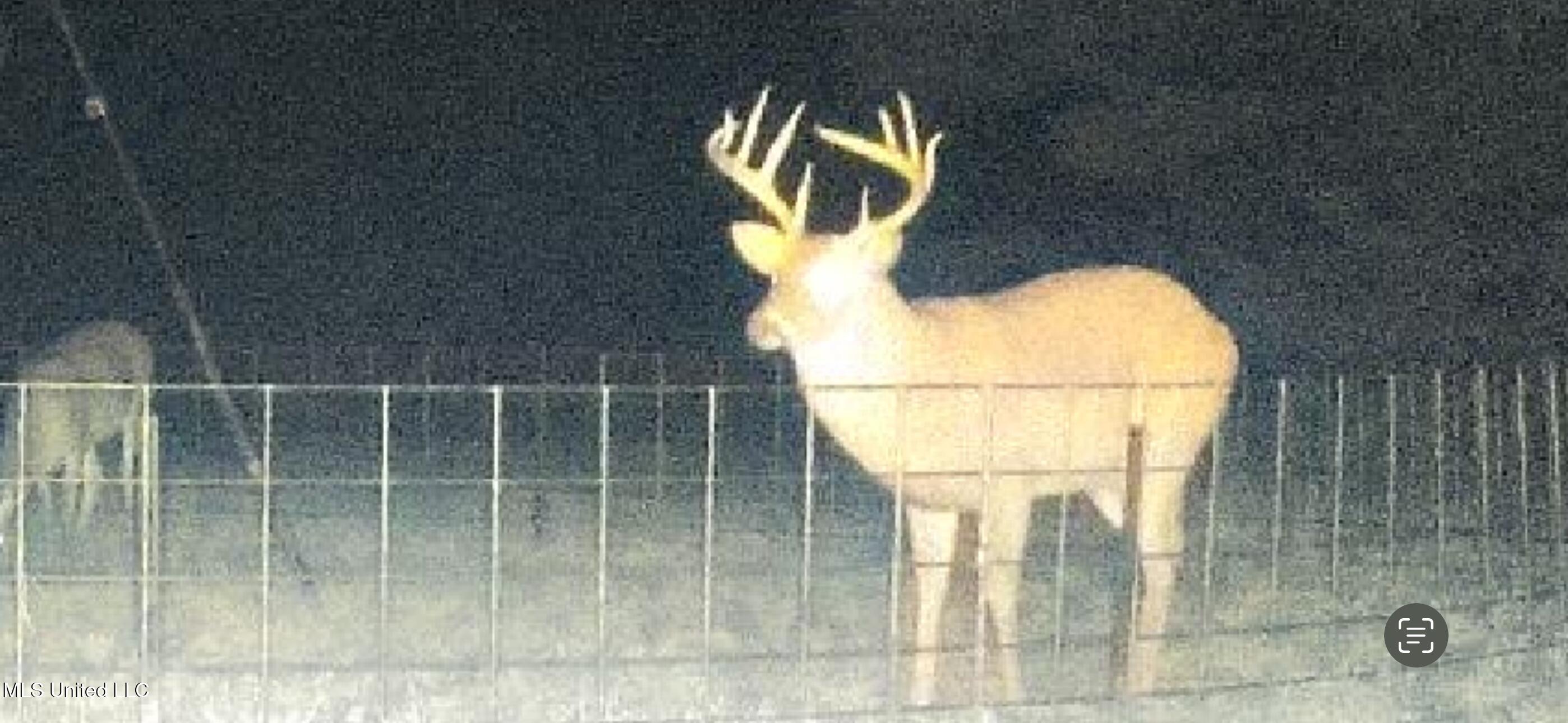 24 Co Road Enterprise, MS 39330 - Photo 35 of 89 IMG_8040