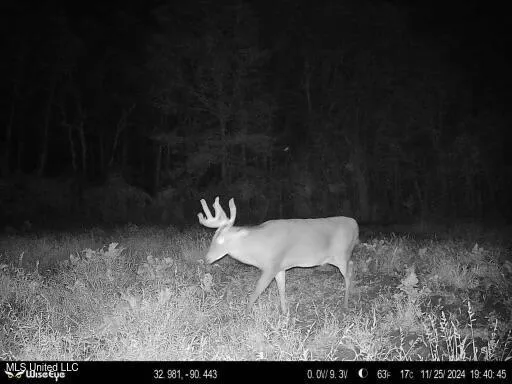 $595,000 | 24 Co Road, Enterprise, MS 39330