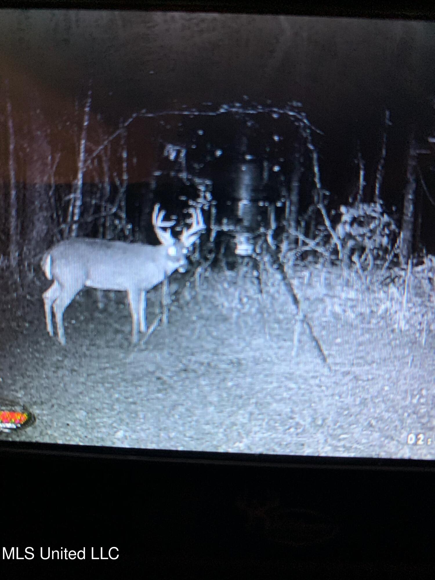 24 Co Road Enterprise, MS 39330 - Photo 37 of 89 IMG_0845