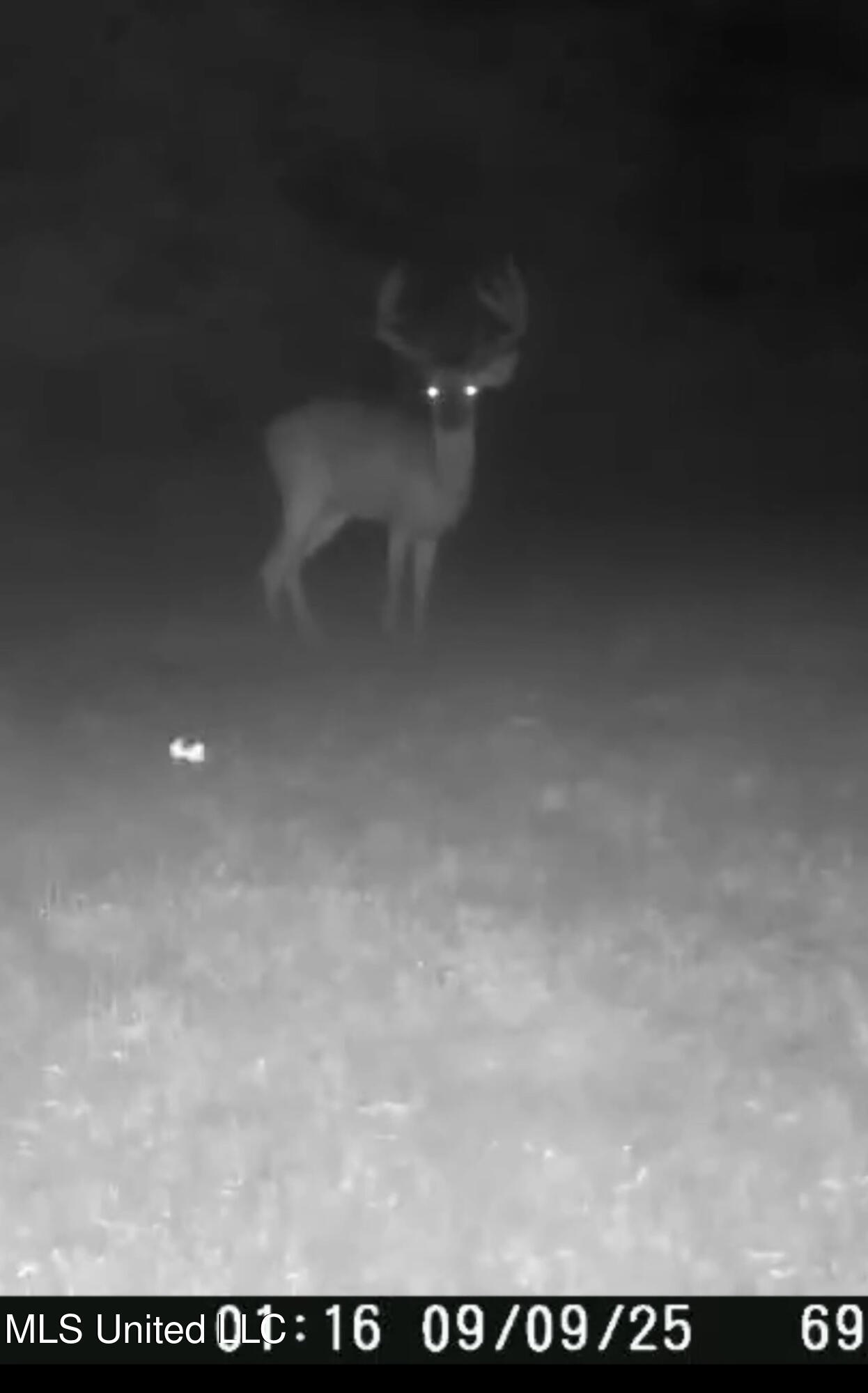 24 Co Road Enterprise, MS 39330 - Photo 39 of 89 IMG_1805