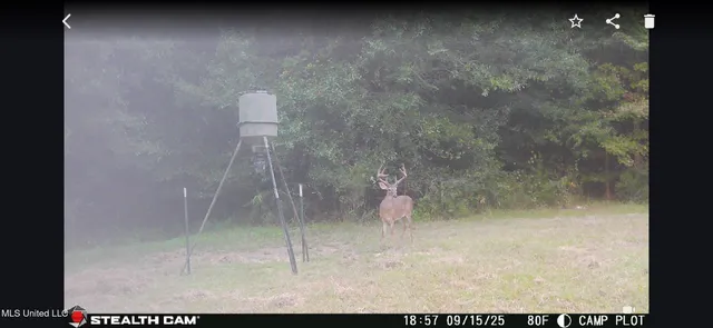 $595,000 | 24 Co Road, Enterprise, MS 39330