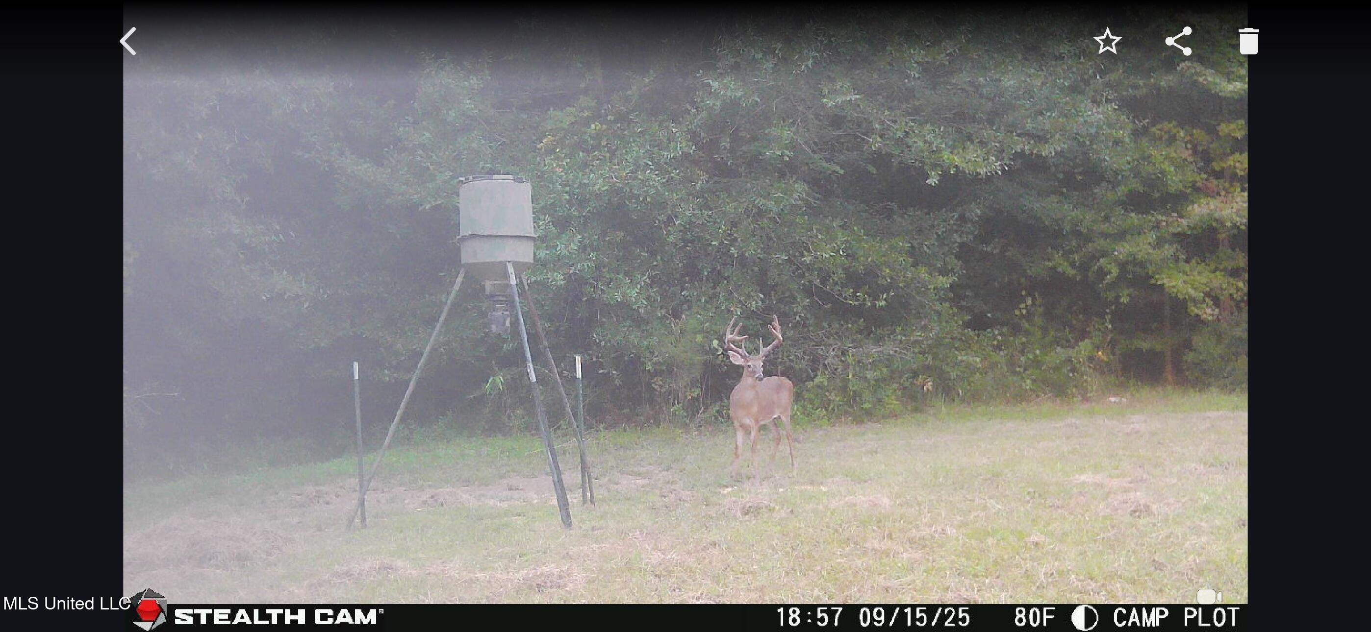 24 Co Road Enterprise, MS 39330 - Photo 41 of 89 IMG_1832