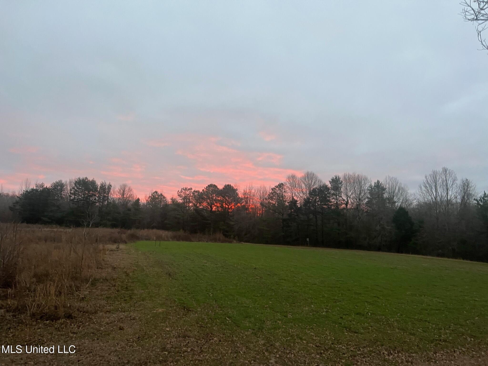 24 Co Road Enterprise, MS 39330 - Photo 46 of 89 IMG_2435