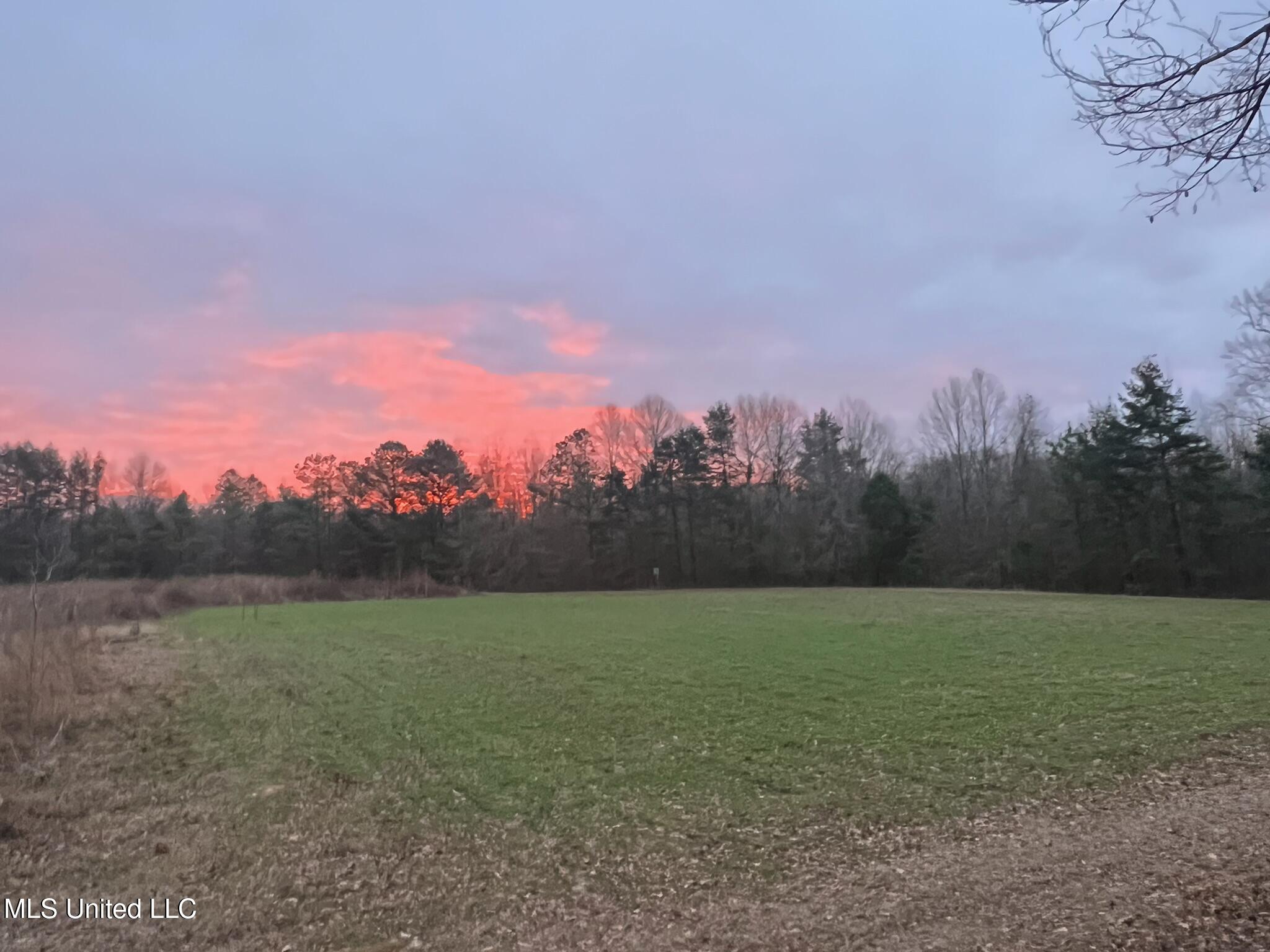 24 Co Road Enterprise, MS 39330 - Photo 47 of 89 IMG_2437