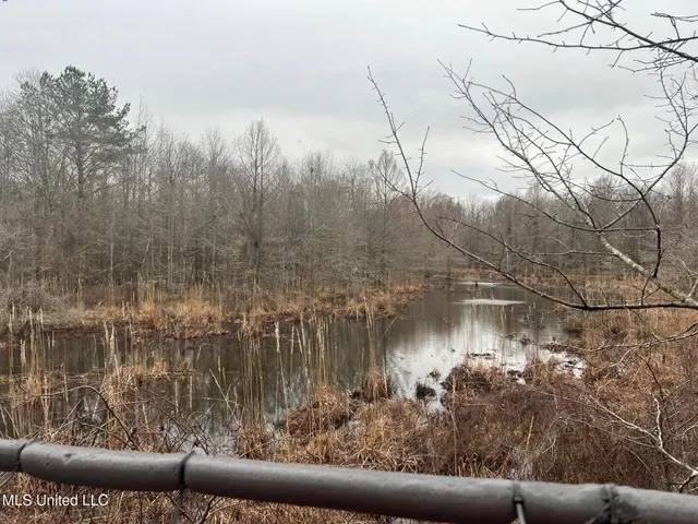 $595,000 | 24 Co Road, Enterprise, MS 39330